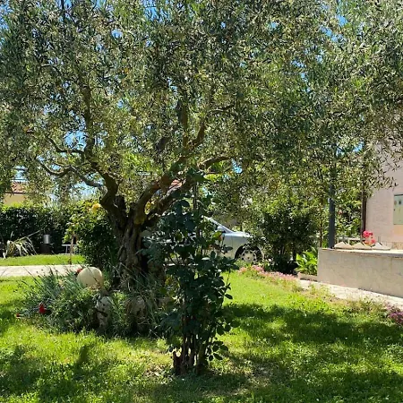 Gracijana Poreč