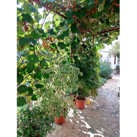 Appartement Gracijana